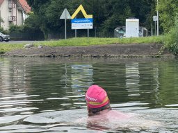 Mainschwimmen Juni 2026